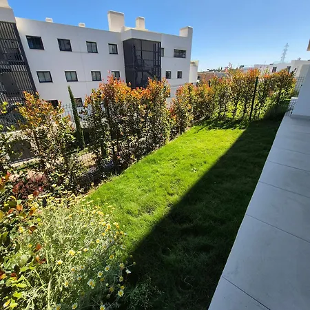 Happy Travel Lily Higueron